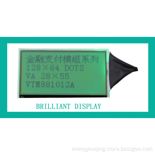 Stn Yellow-Green 128X64dots LCD Module with RoHS Certification (VTM881012A00)